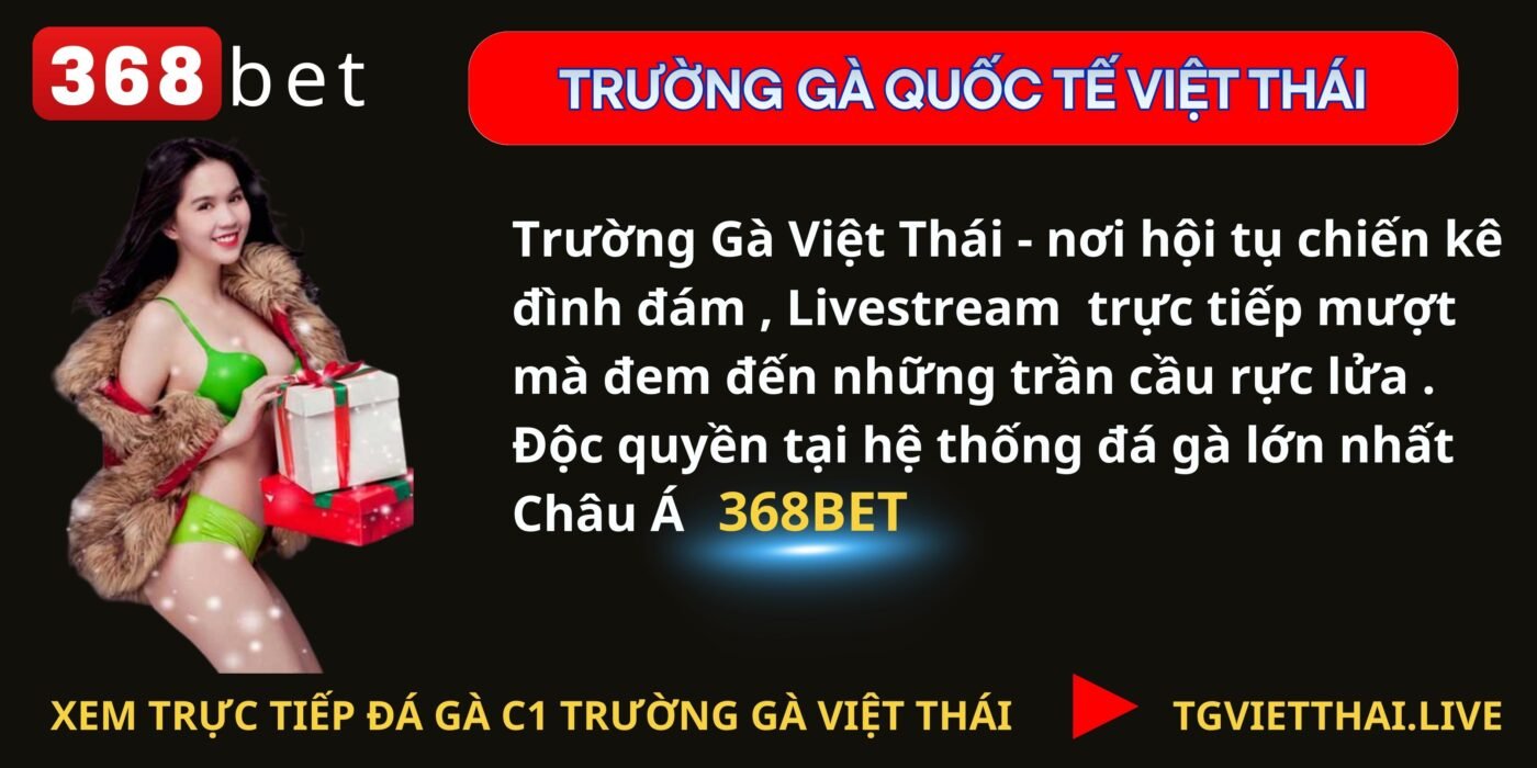 trường gà quốc tế việt thái trực tiếp
